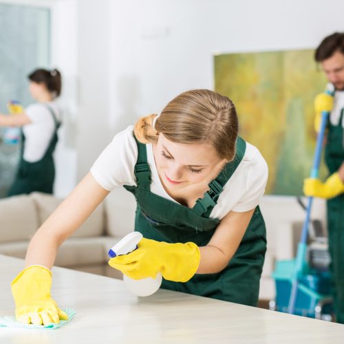 Pretty young girl hardworking as a professional cleaner